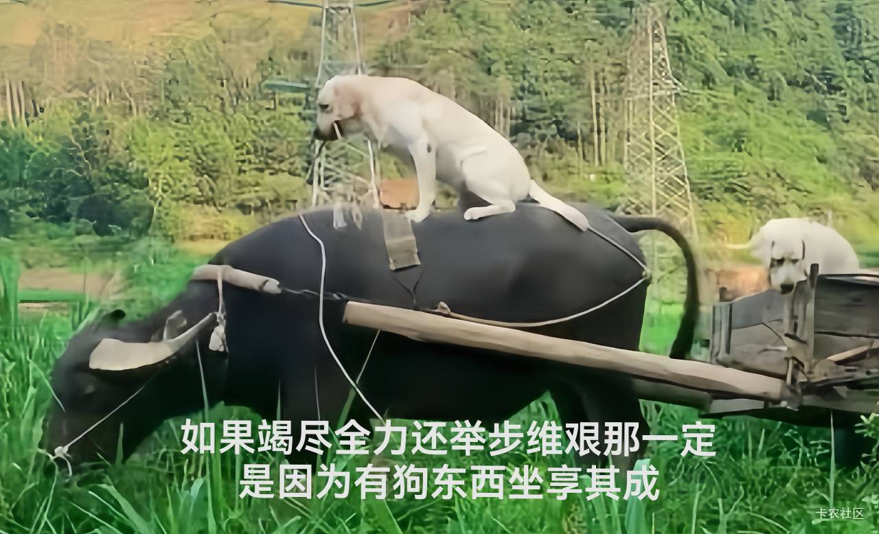 天桥下好冷~

57 / 作者:广鸡周某人 / 