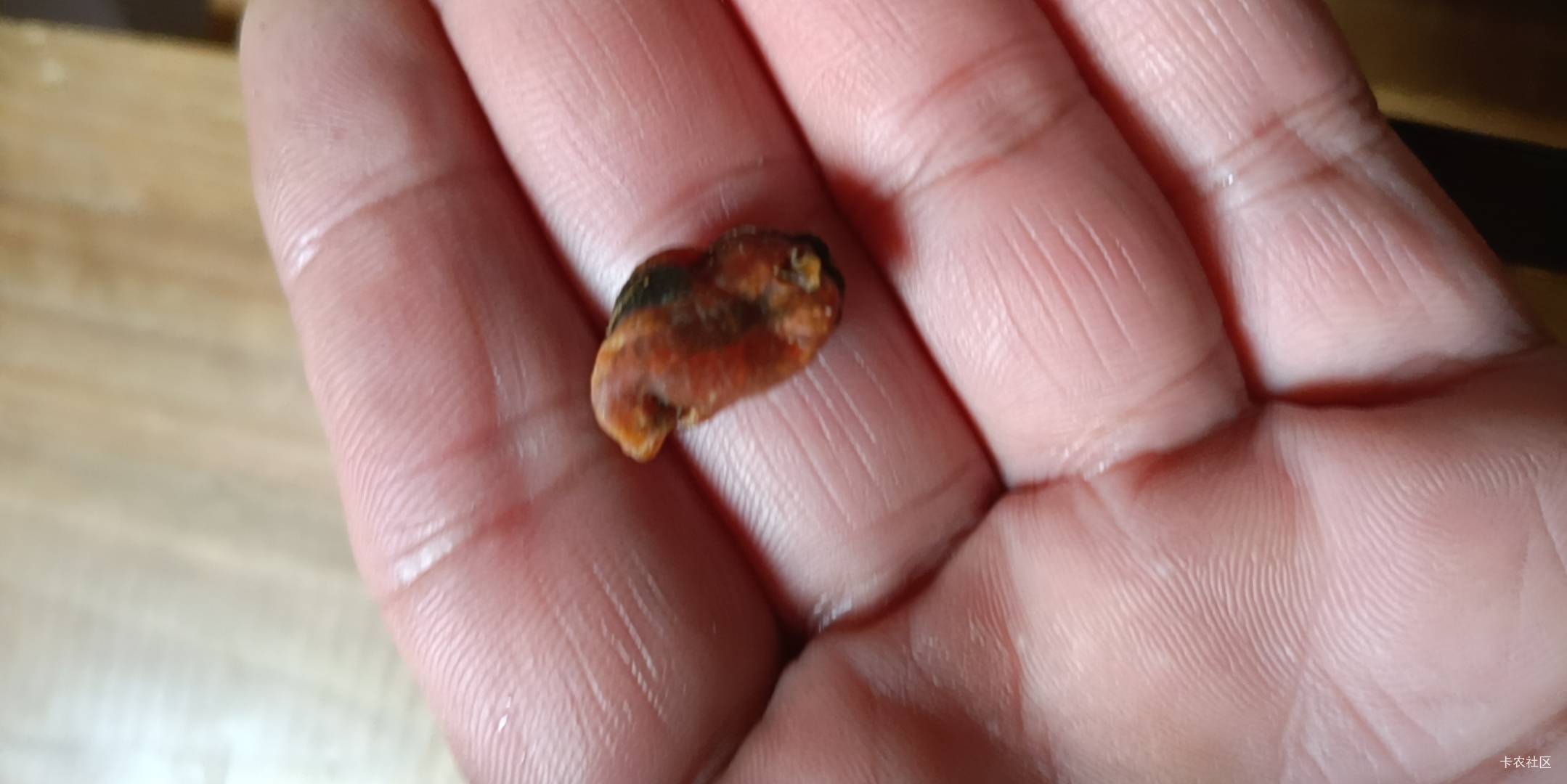 老哥们在聊天啊？你们吃饭没有啊？今天点哪个平台更优惠啊?我今天吃虾仁耗子炖白菜，67 / 作者:舔歪了 / 