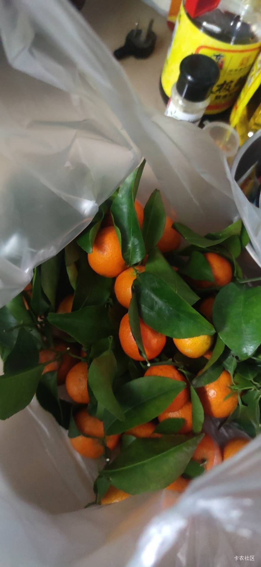 砂糖橘便宜，5块钱2斤

64 / 作者:极速zoo / 