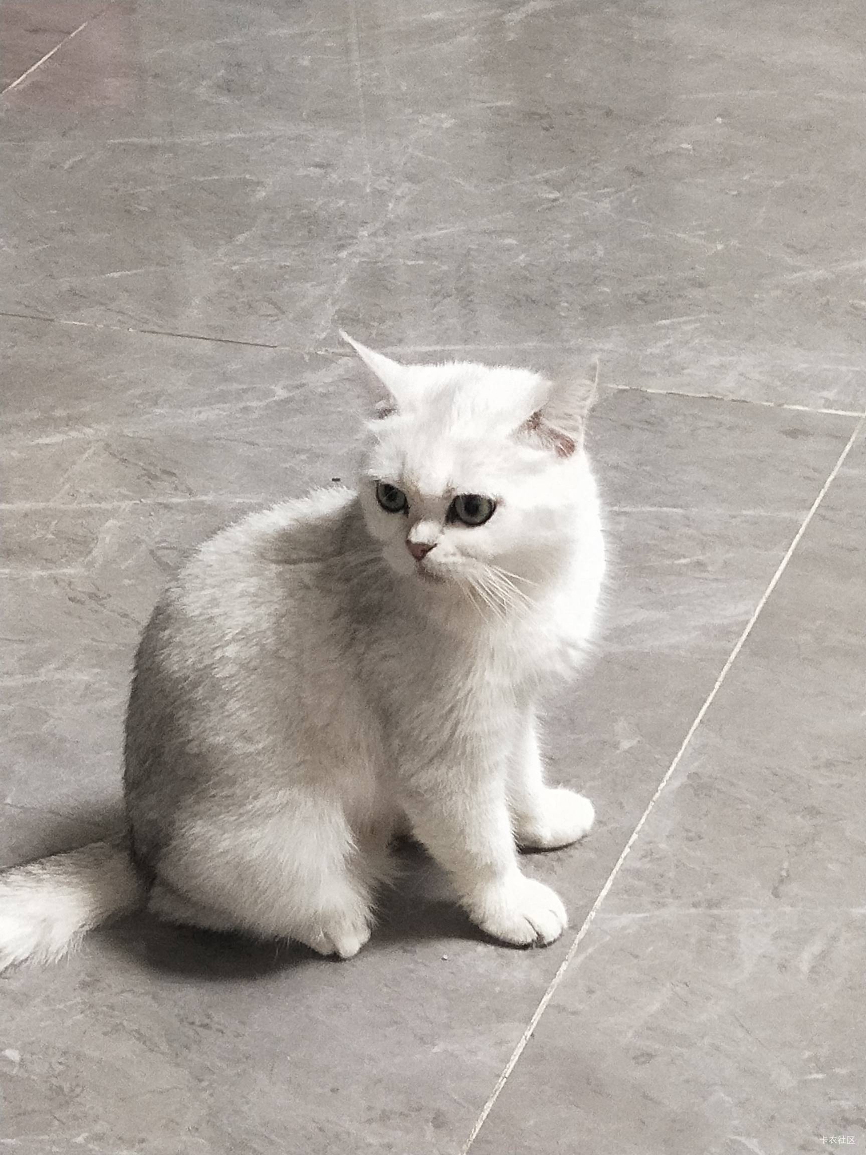 老哥们，补牙大概要多少钱？有一个牙门牙上面右边那里有一个都烂完了，就剩一个根了，47 / 作者:斗篷 / 