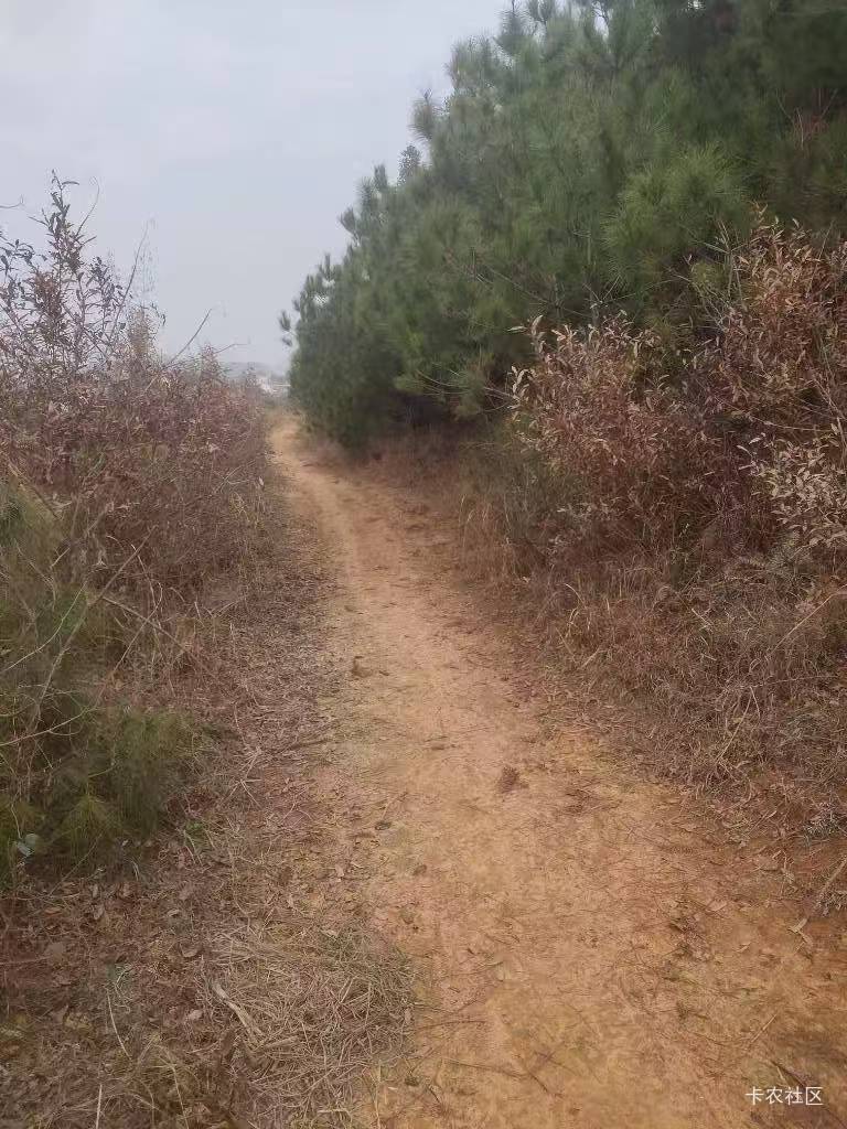 都不回家吗



55 / 作者:机你太美 / 