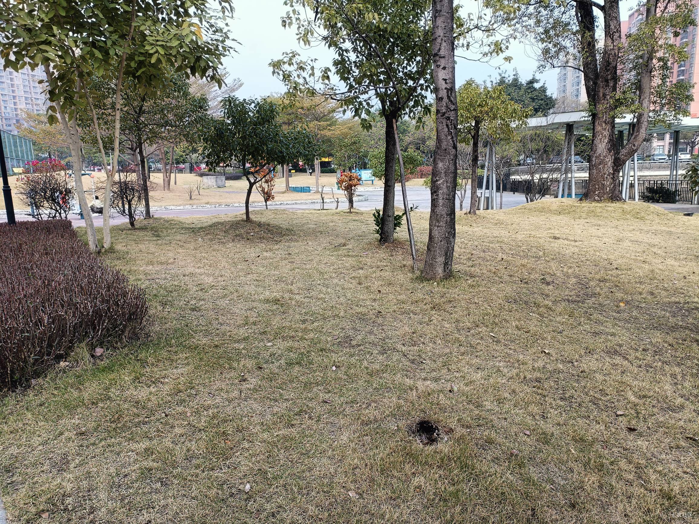 兄弟们都看见前面那把椅子了吗？今天我就把壁挂在这里，天天出租房了都躺累了

12 / 作者:舔歪了 / 