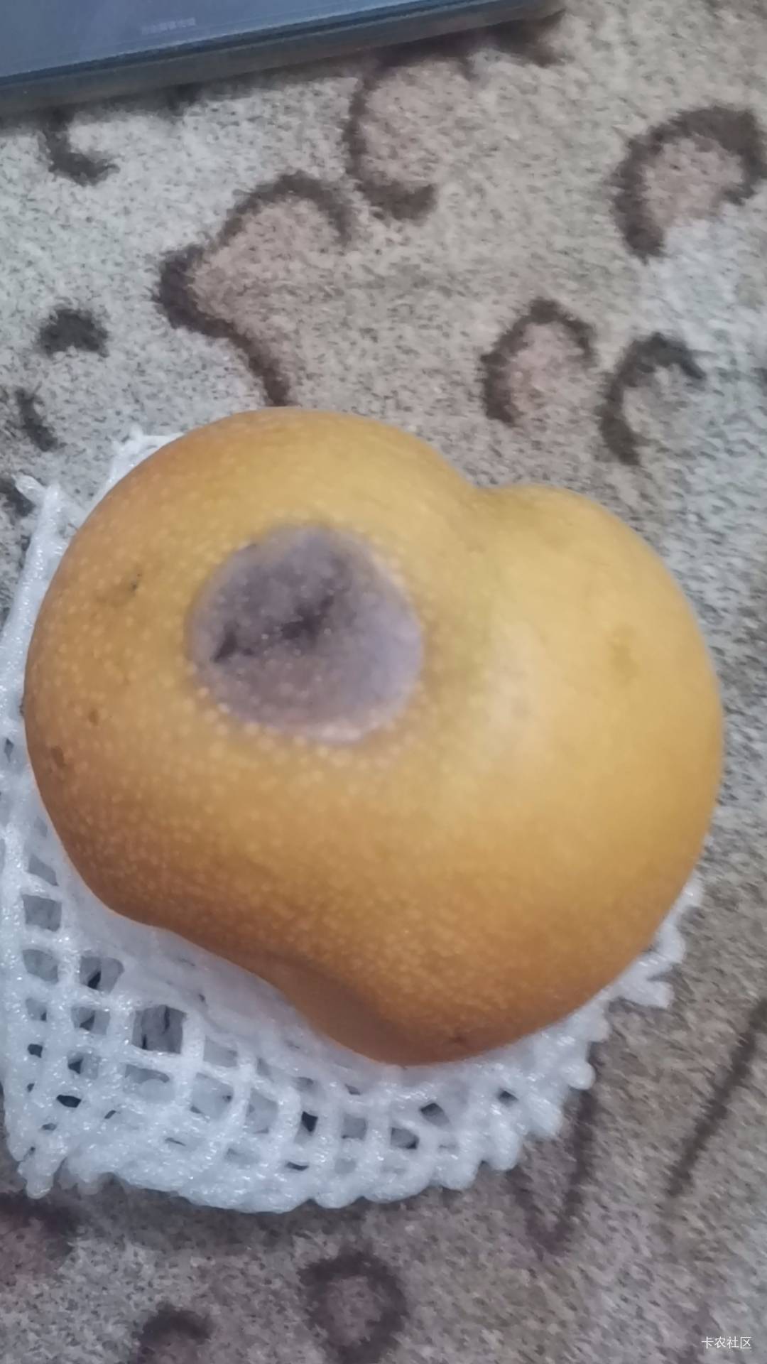 有企业支付宝的给广州银行代发看看能不能完成任务

36 / 作者:月亮上吃火锅 / 