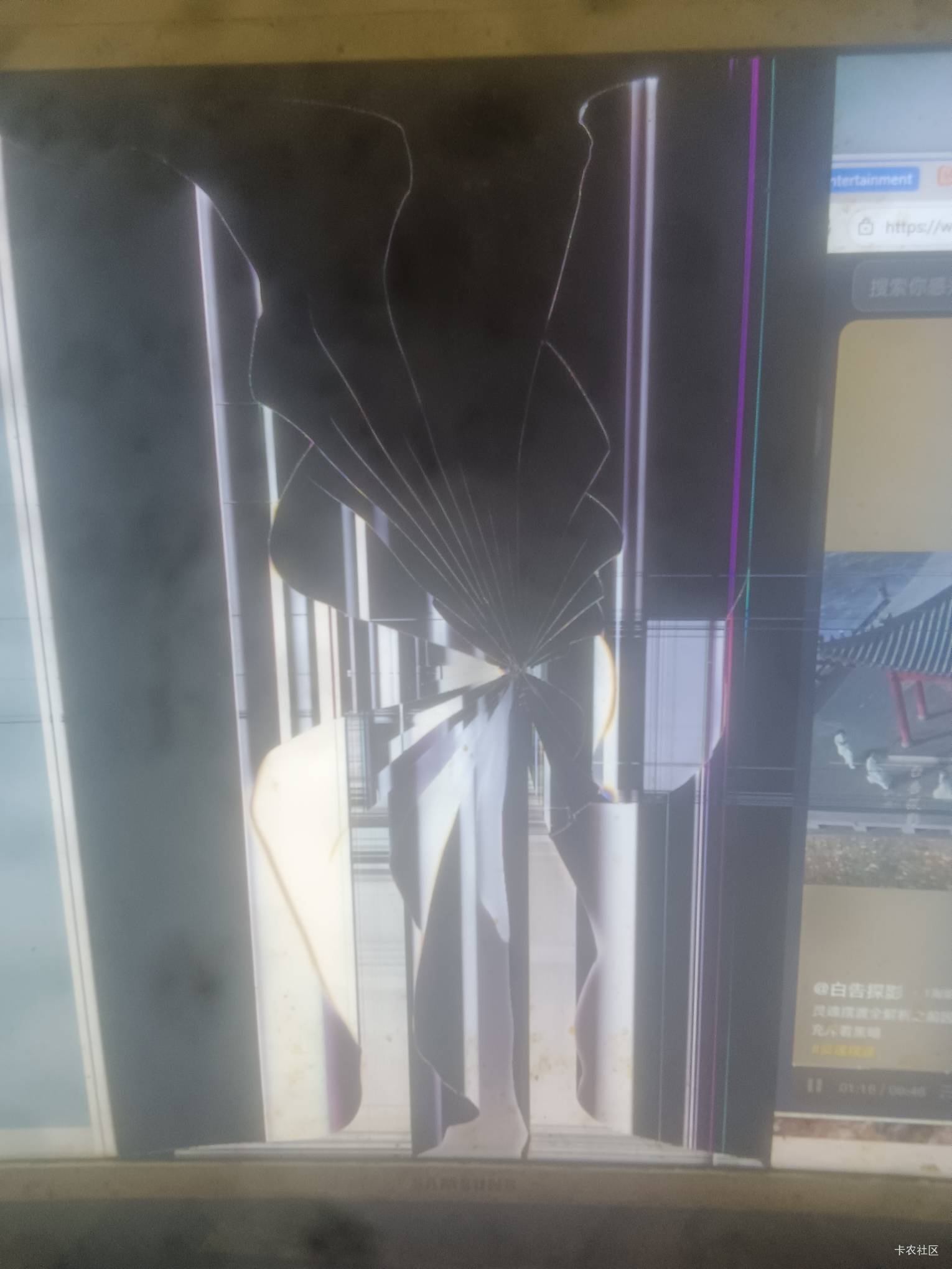 抖音总是有个红校服的戴眼镜的小可爱学生，总是模仿国外那个国外网红，像犬一样的总是40 / 作者:表锅窝来了O / 