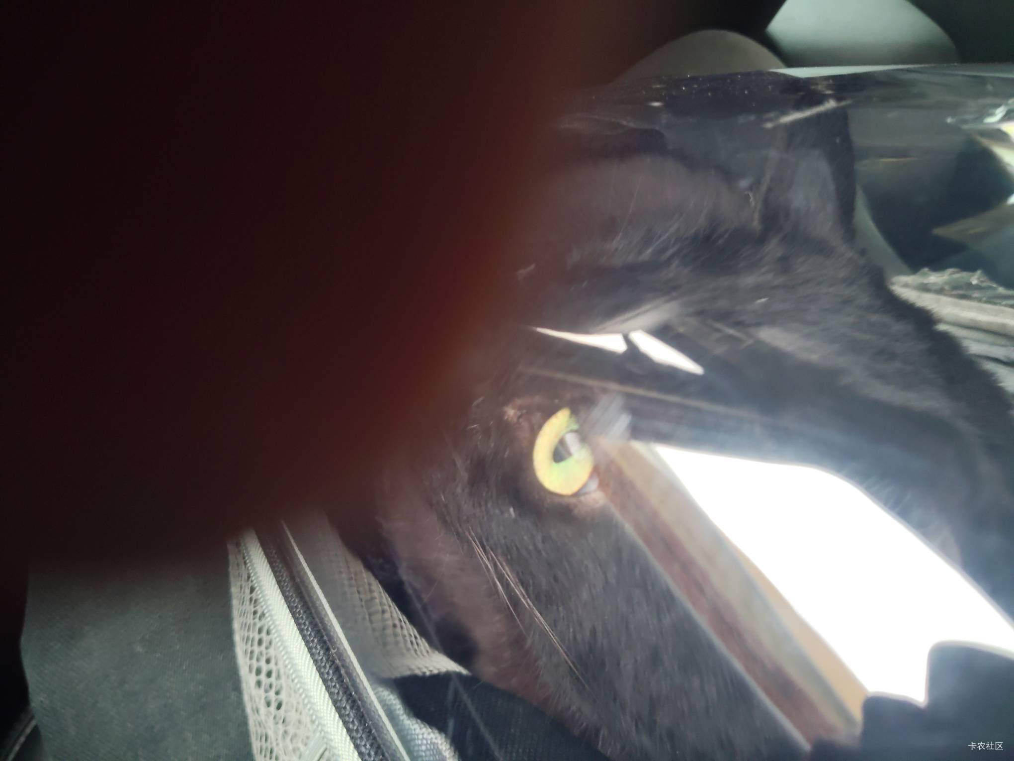 回家过年了老公们。

69 / 作者:陆羽 / 