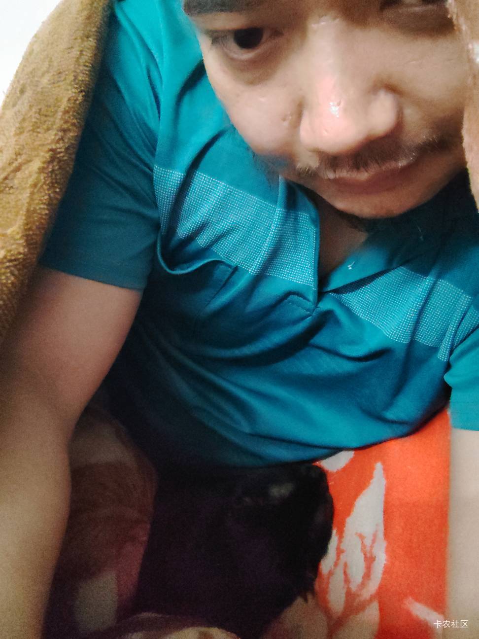 刚回到家，卡农有老乡吗？


30 / 作者:陆羽 / 