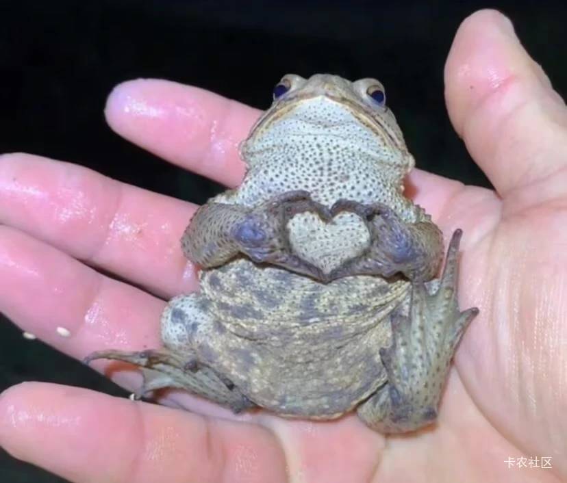 吃上了  用不完  根本用不完49 / 作者:不伦不类很正经 / 