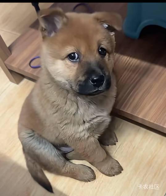 卡打

50 / 作者:你一定能实现 / 