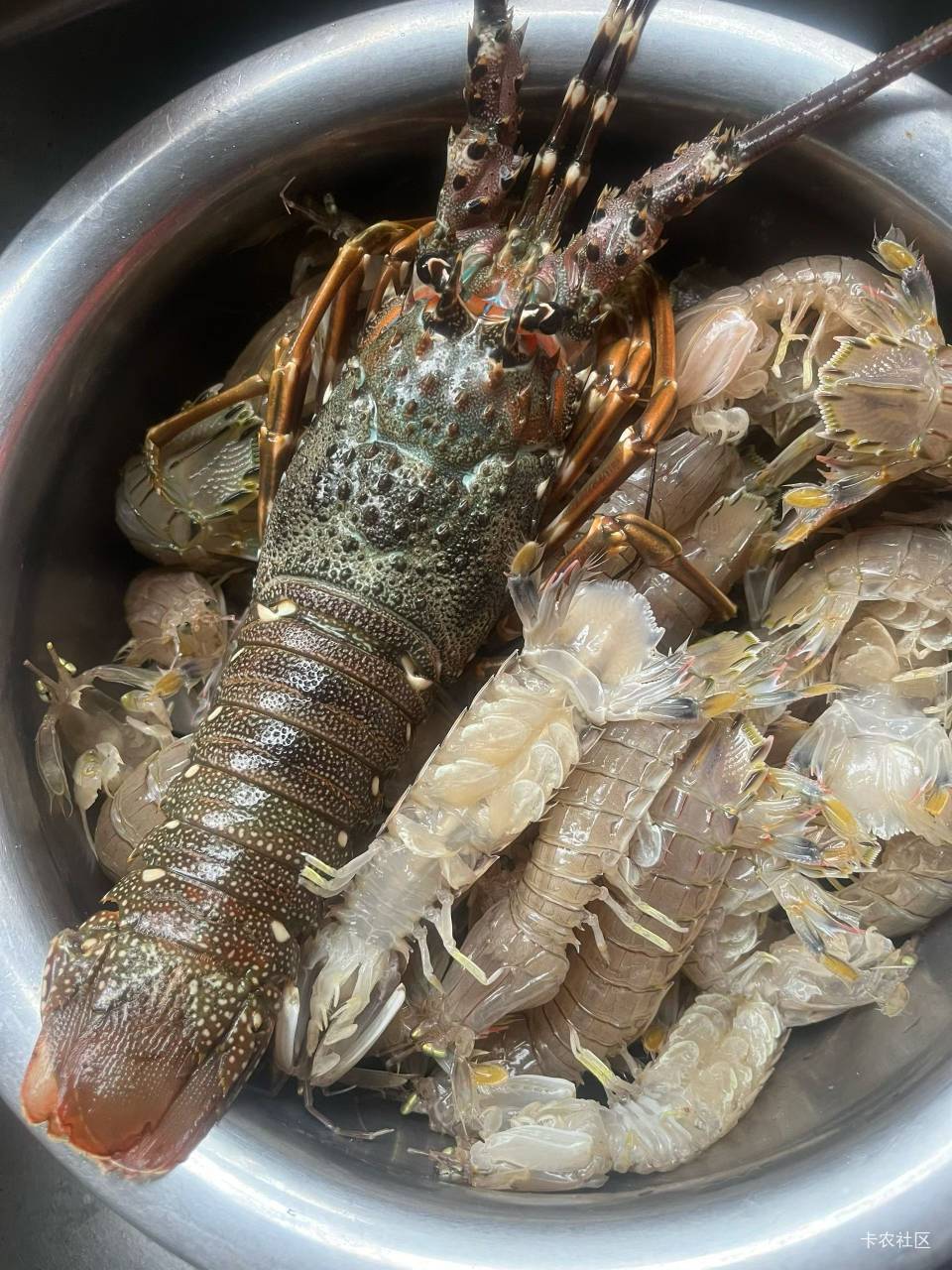 老哥们先吃

93 / 作者:中国工商银行卡农分行 / 