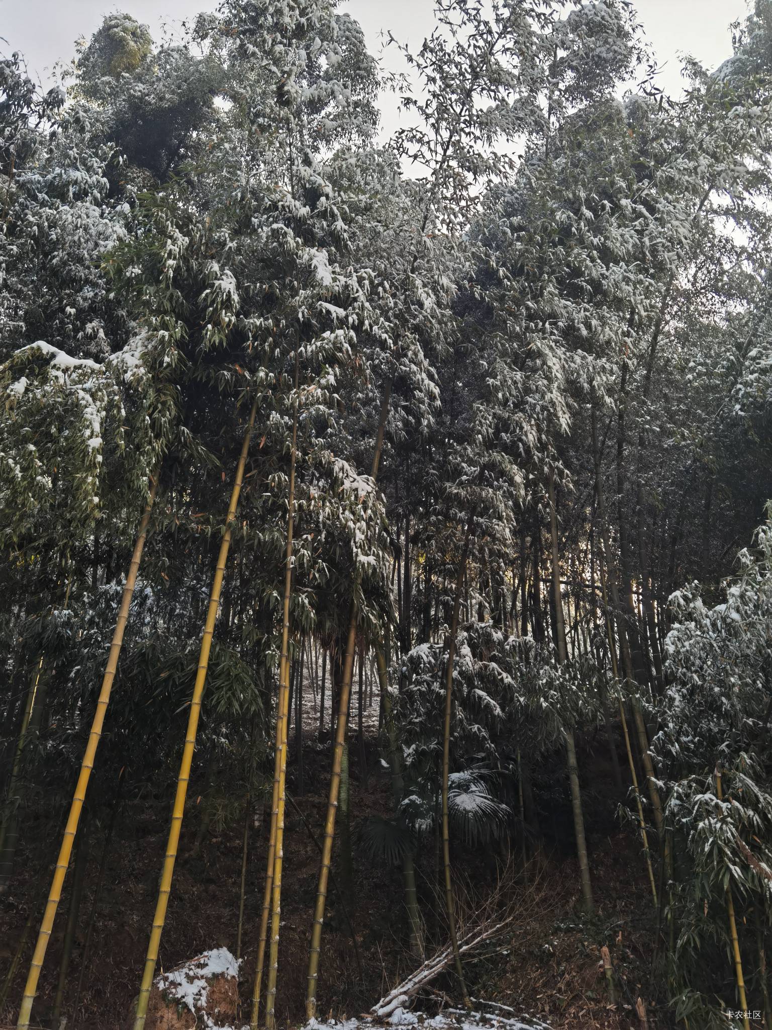 来个人帮换下蚂蚁啊福健康金  16.8  给我15

59 / 作者:烟雾开始 / 