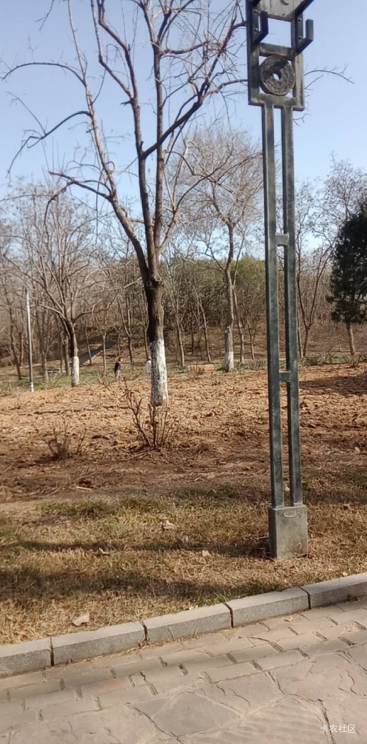 老哥们，快出来挂壁啊。公园又能挂壁了。春暖花开，鸟语花香，微风不燥，阳光正好。

23 / 作者:mmmmkbh / 