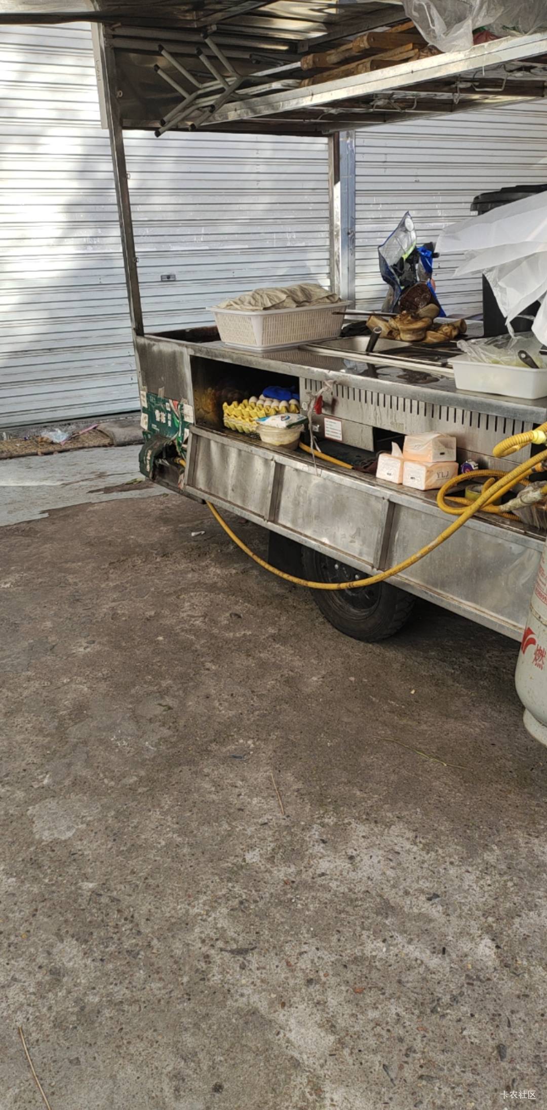 老根萌，有蛋蛋

16 / 作者:卡农第亿帅帅 / 