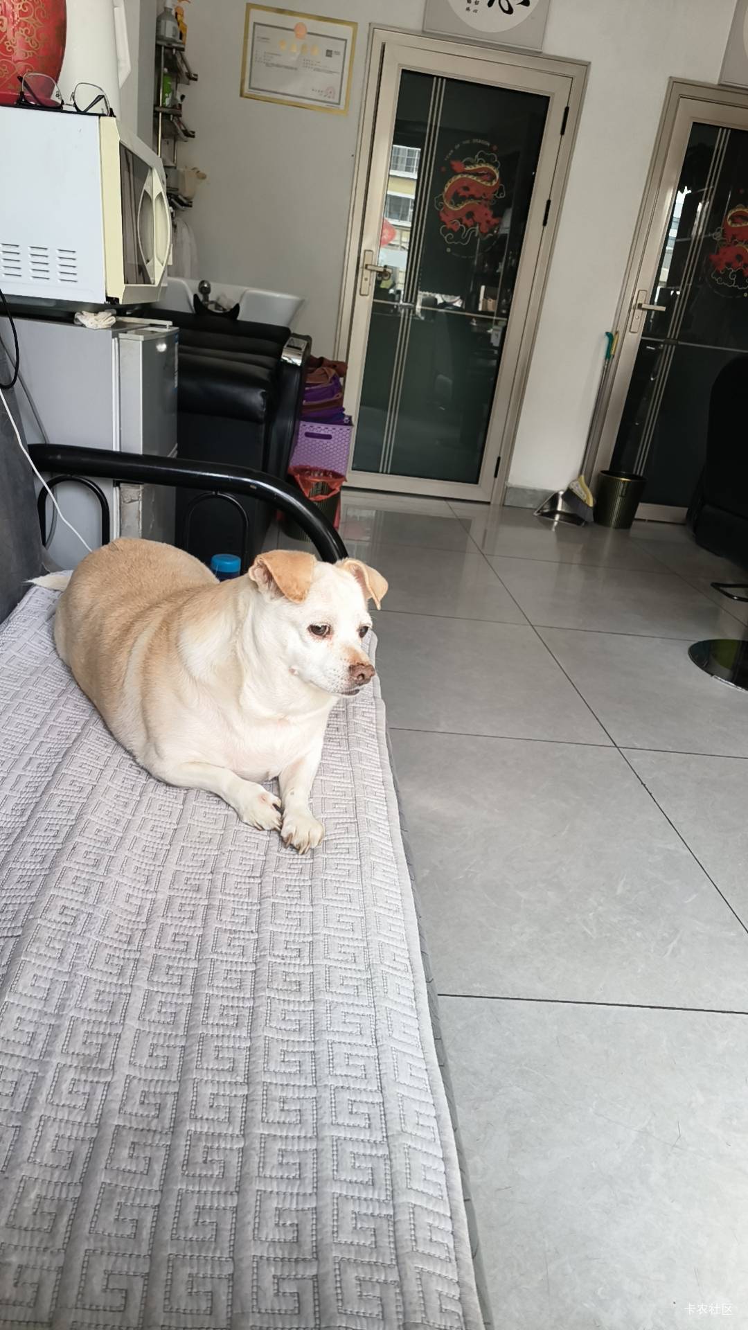 请问大家，生日有啥毛没

64 / 作者:小叔A / 