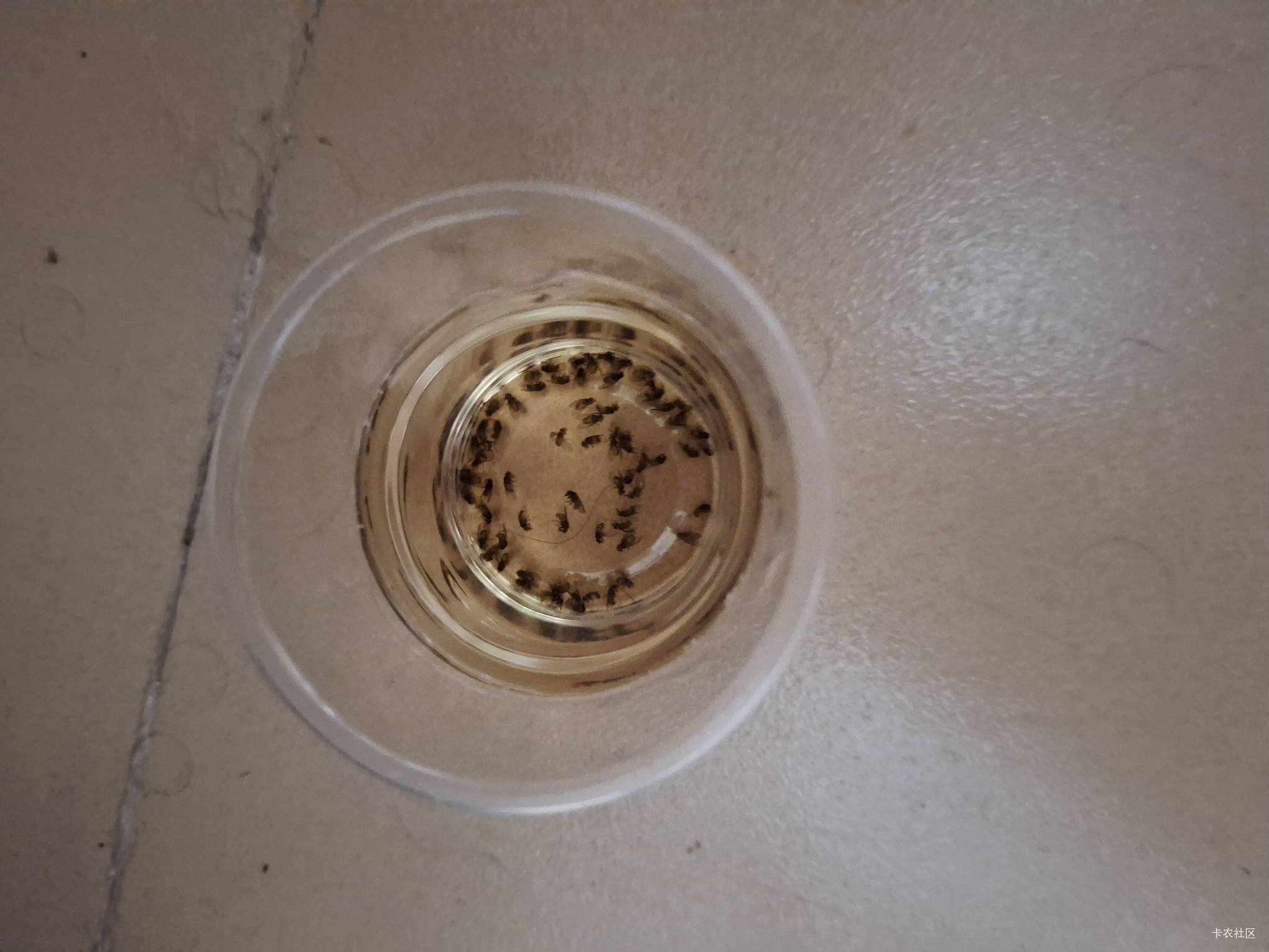 广东苍蝇真多

75 / 作者:酷奇57 / 