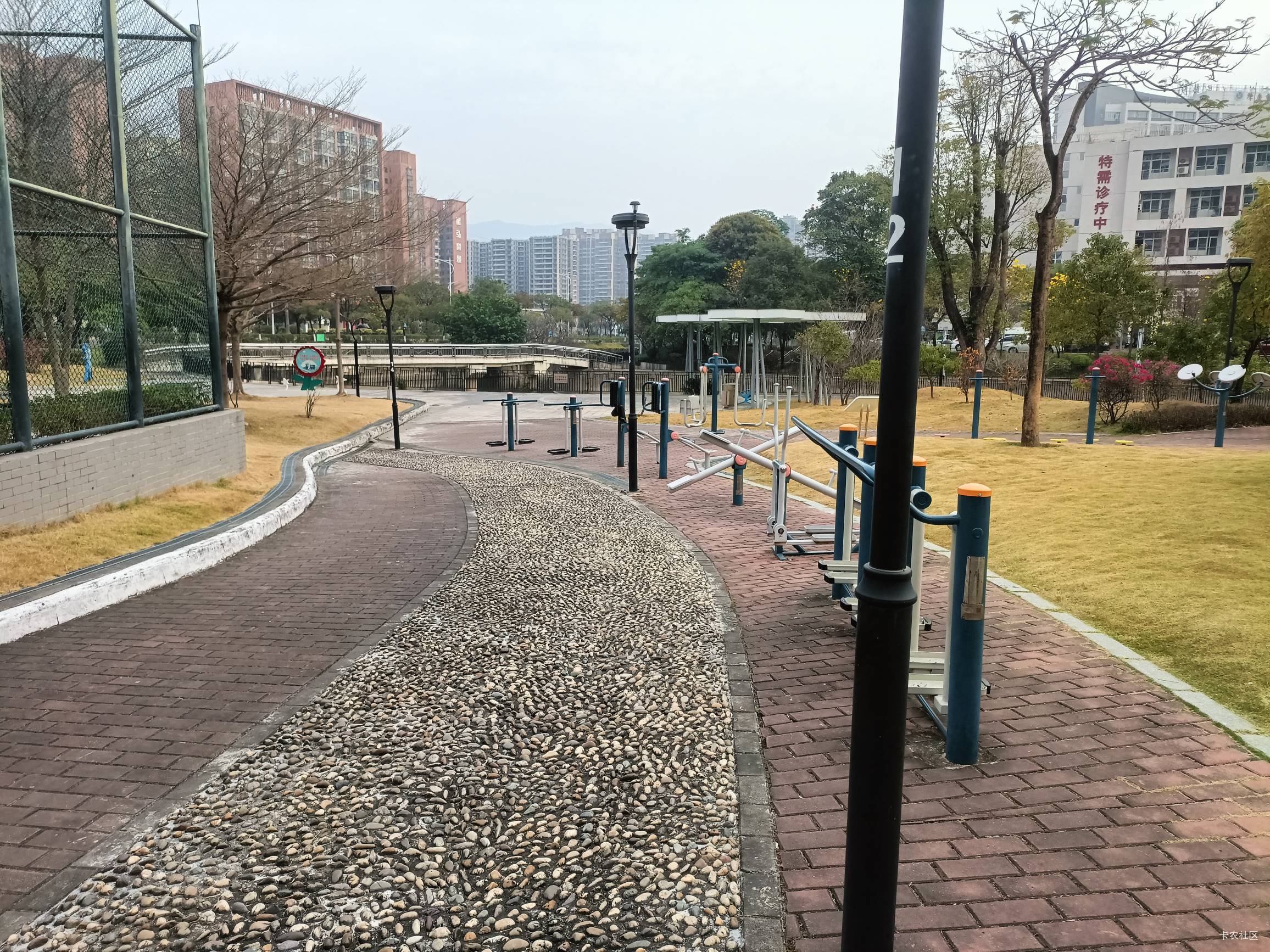 目前挂壁在小公园，面对着十字路口的诀择，现在我应该回去挂壁房躺着还是去找厂？好难19 / 作者:饿得哇哇叫 / 