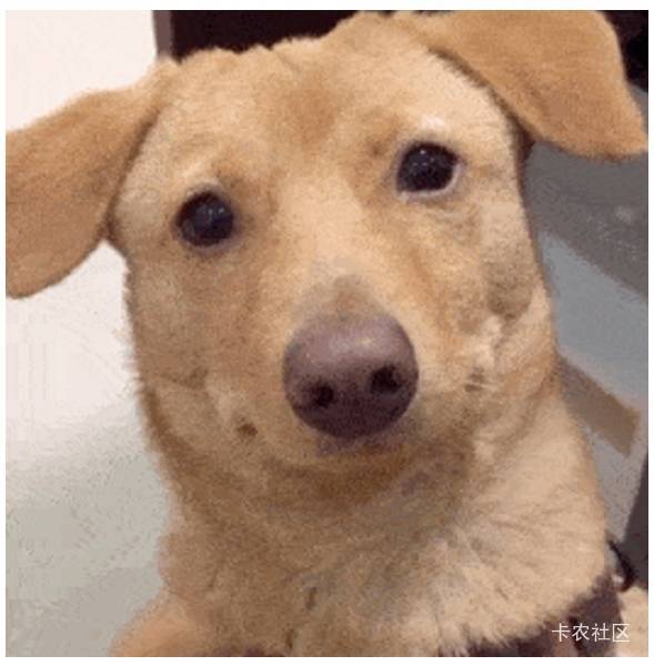 腾讯视频3块钱收个几天的换绑有出的吗

10 / 作者:哈克 / 