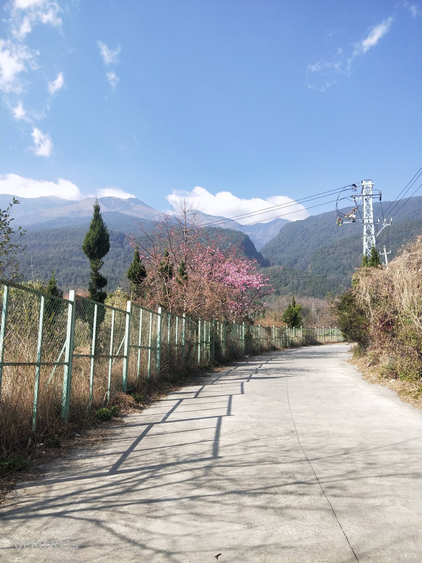 羡慕老哥们还在躺平，我已经出发打工的路上了
77 / 作者:卡农第一骚 / 