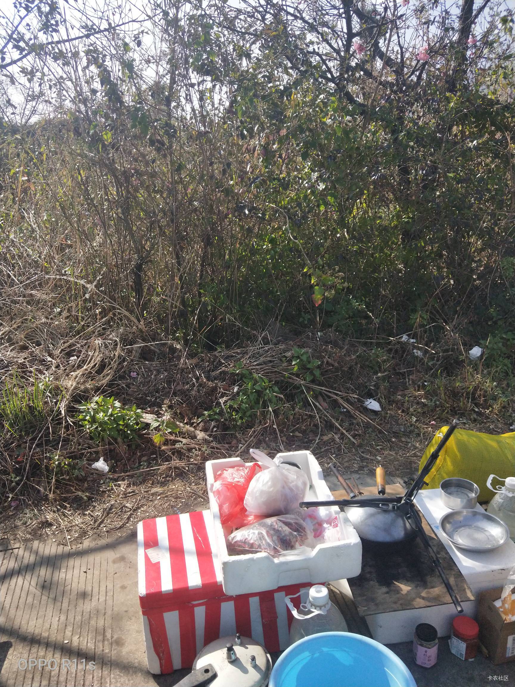 羡慕老哥们还在躺平，我已经出发打工的路上了
27 / 作者:卡农第一骚 / 