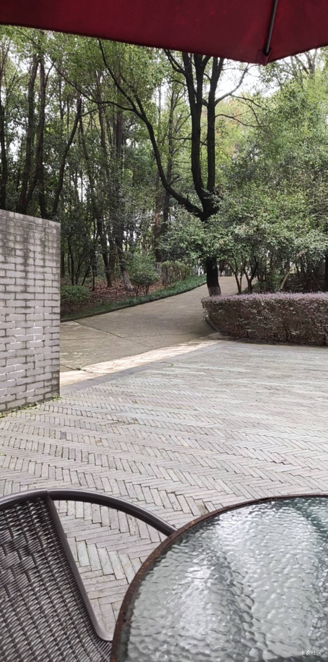 老哥们，又来公园挂壁了

52 / 作者:热了上上课上课 / 