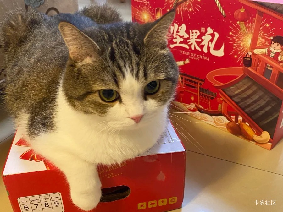 老哥们。怎么重拾撸毛的激情？自从5年前来了羊毛区，撸毛就成了我生活必不可少的一部90 / 作者:我默默不说话呢 / 