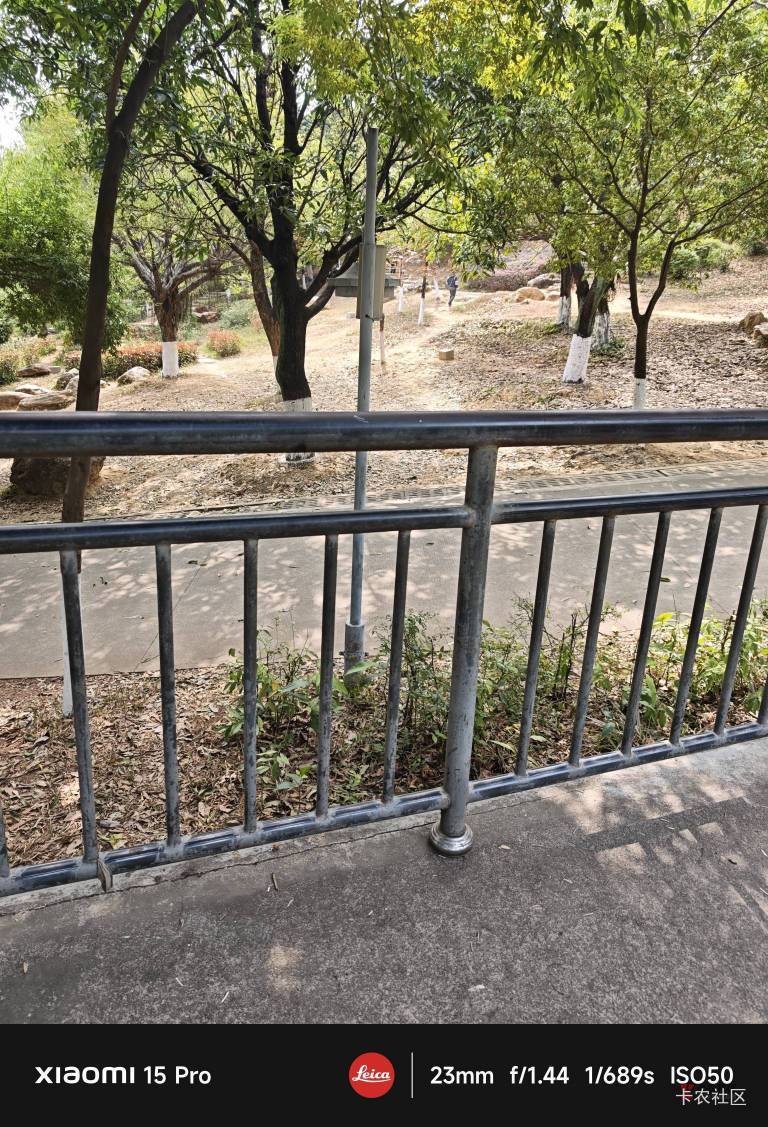 刚睡醒发现支付宝到账一个800 抖音到一个200，终于不用在公园看风景了

78 / 作者:枫霜降 / 