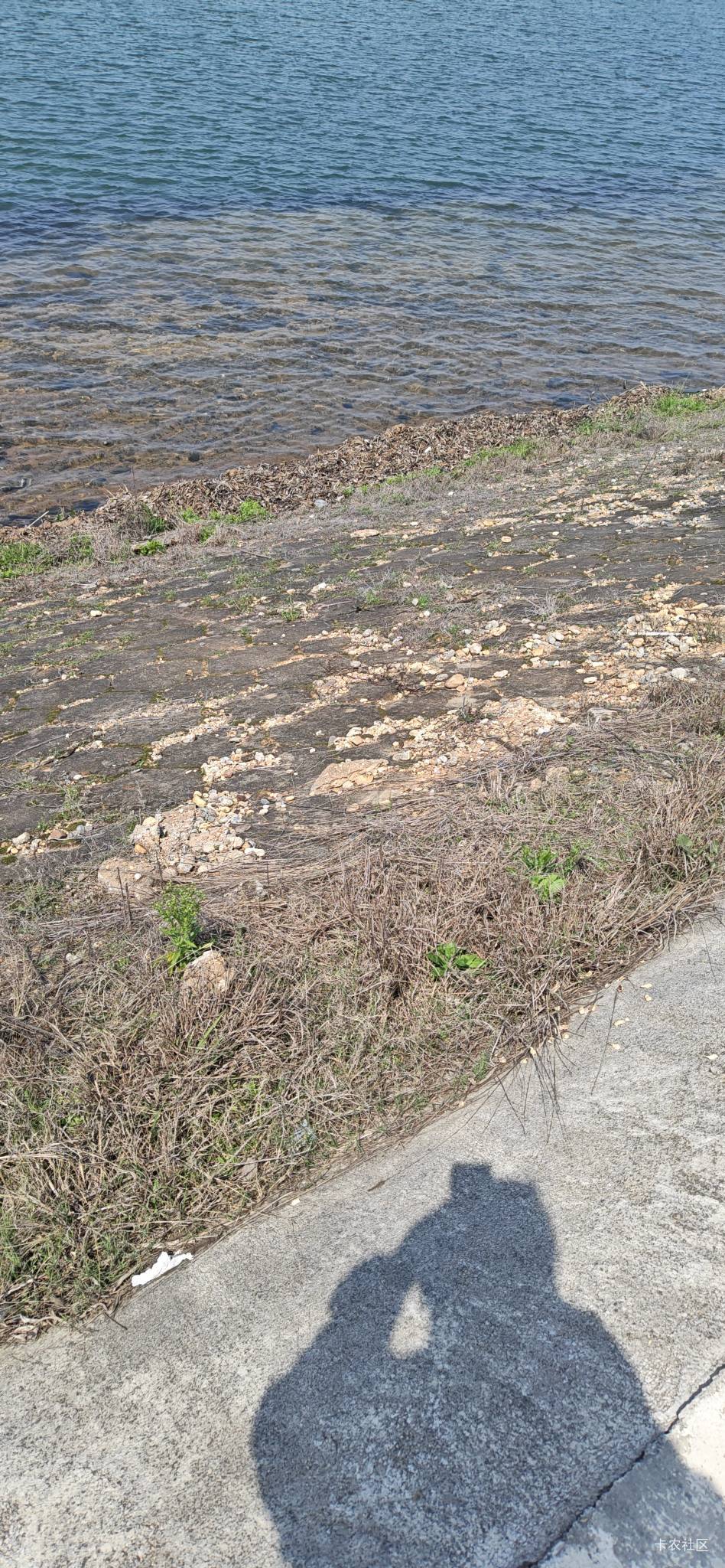 老哥们看下荣耀500pro拍出来效果咋样



53 / 作者:路人C / 