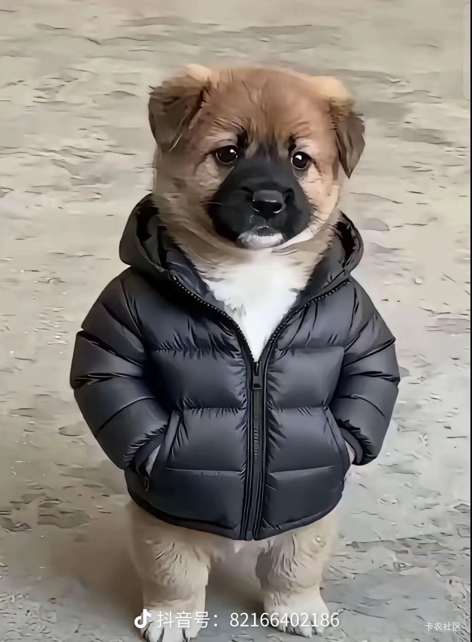 茶数你们今天的米粒到了吗？我怎么没到

26 / 作者:好运财运一起来 / 