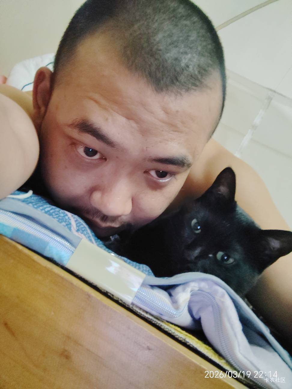 想回去躺尸了，可是猫饿着一直叫，


37 / 作者:陆羽 / 