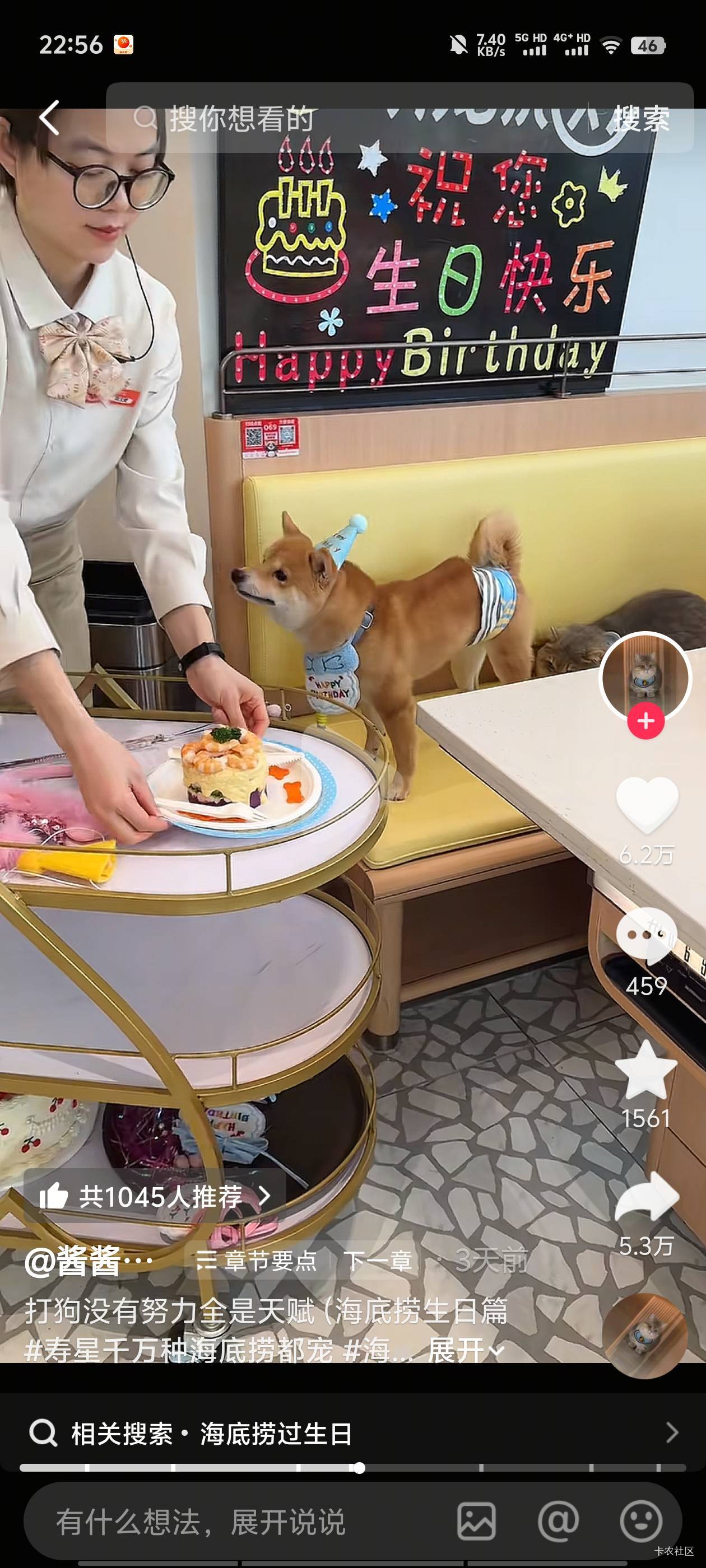 海底捞还能专门给动物过生日仪式，此时此刻睡了一天的我泪水打湿着猪脚饭，心里发誓我82 / 作者:逾期6年 / 