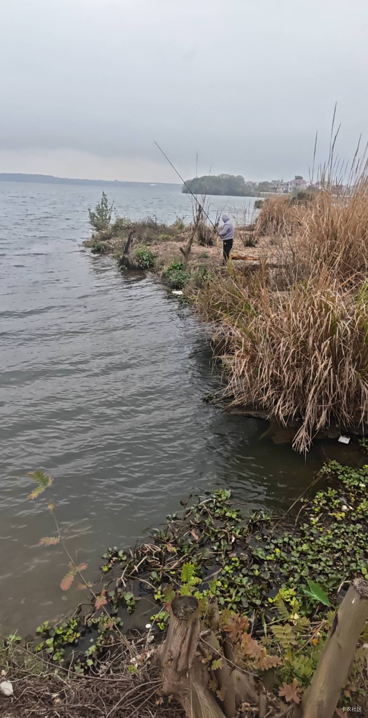 我在看人家钓鱼老哥们

16 / 作者:路人C / 