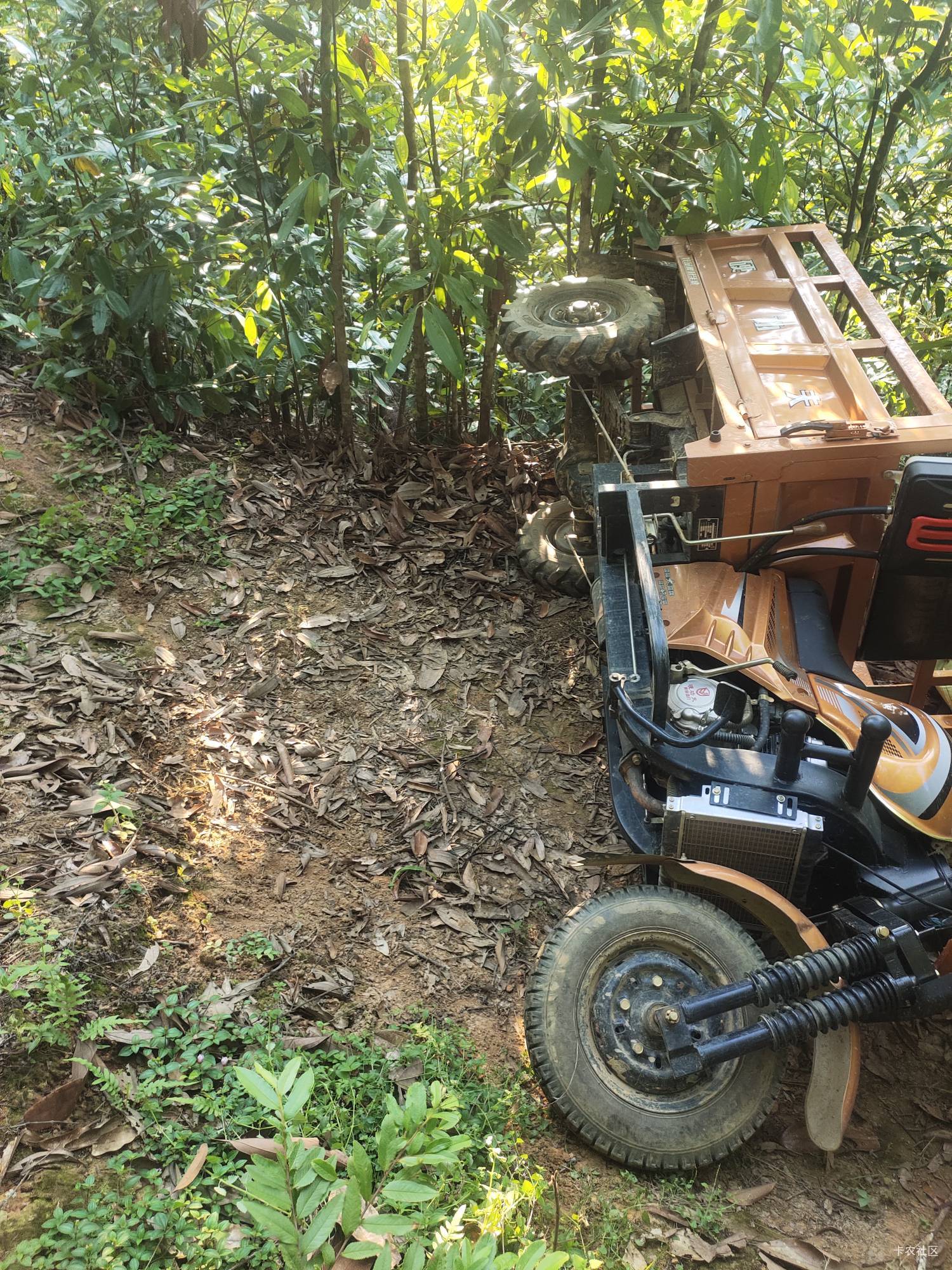 现在那些腾讯游戏有包，中午饭还没下落

47 / 作者:百事可乐k / 