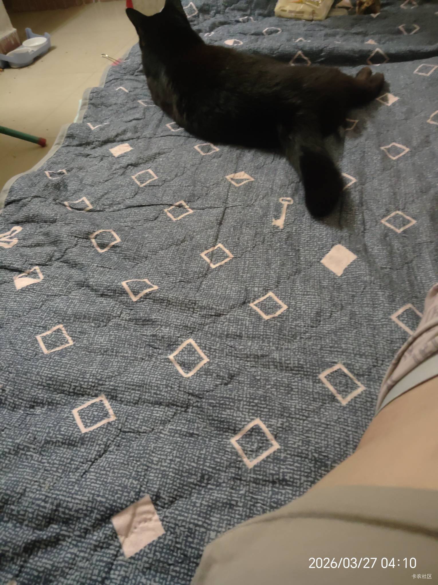 刚回来不跑了，看到你们躺着就有收入，气得我也回来躺着。。

11 / 作者:陆羽 / 