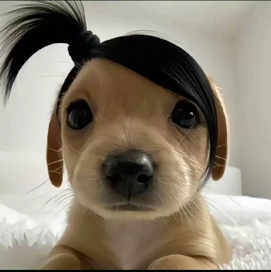 @彩虹卡 我有个从小陪我长大的兄弟，孤孤单单了好多年没有在见过任何的王守义十三香，47 / 作者:卡农超级元老 / 