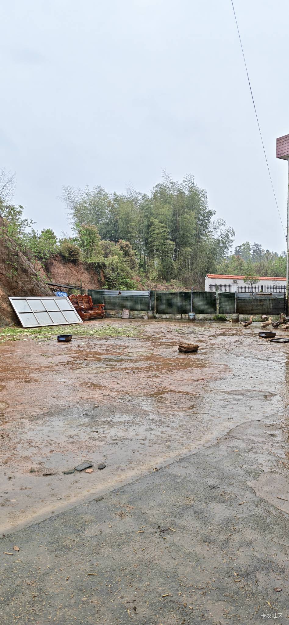 荣耀500pro拍的，清晰吗老哥们？


20 / 作者:路人C / 