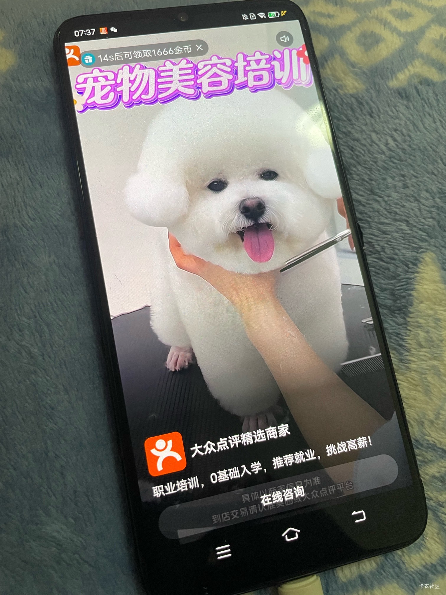 老哥们，这个十多秒的1666刷了30毛了，昨天还是三四百几下就掉，没做任何操作，就下了82 / 作者:日了中子星 / 