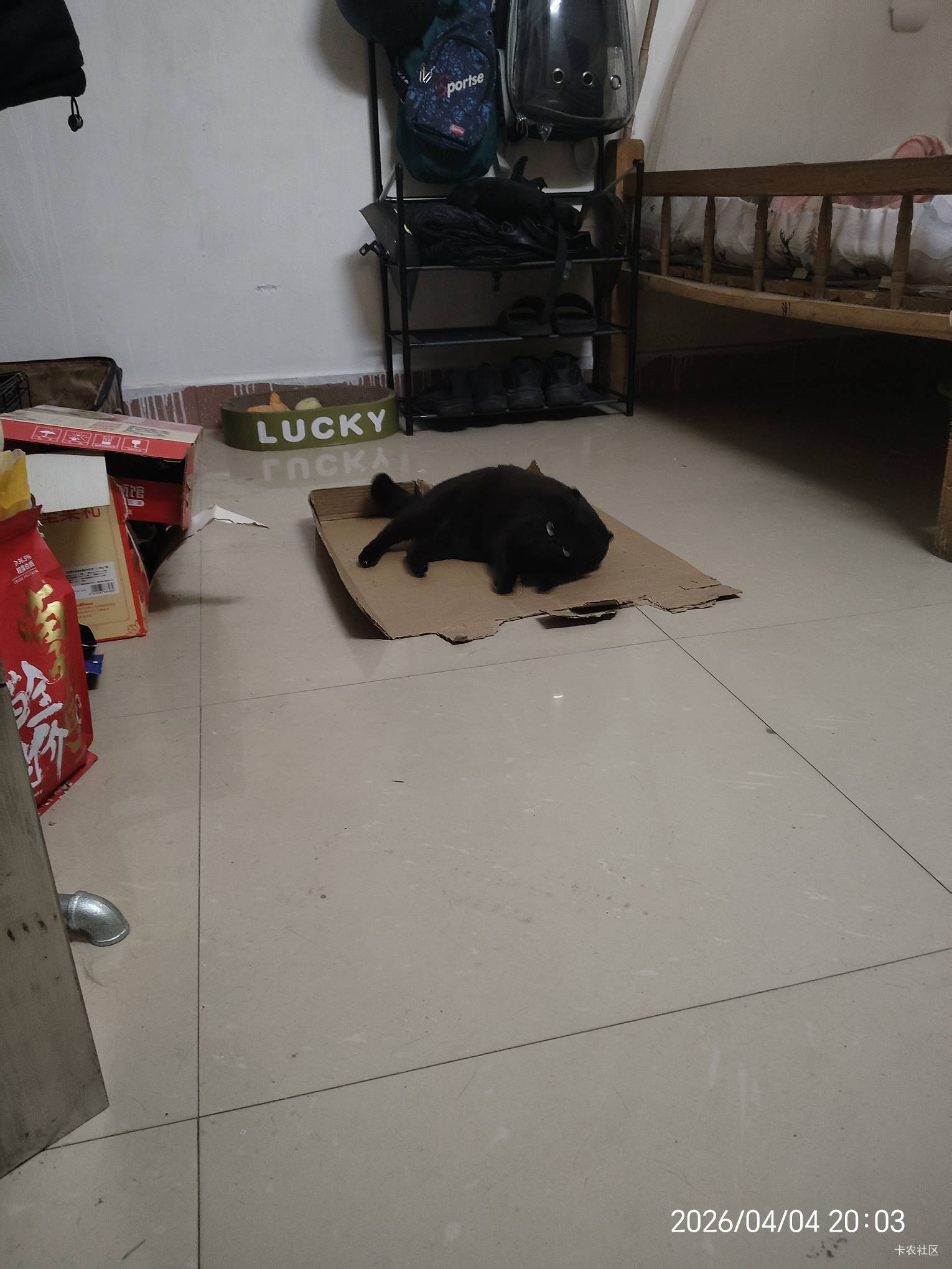 我挂壁房是不是比你们睡公园好？

32 / 作者:陆羽 / 