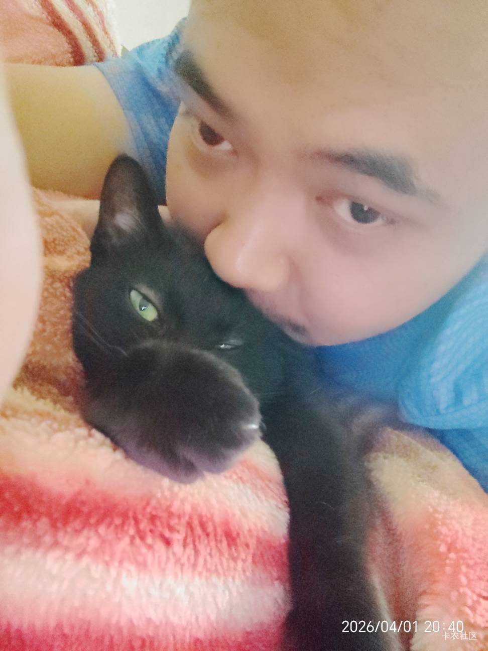 发毛，想申请猫粮了，是不是要饿死我俩？

47 / 作者:陆羽 / 