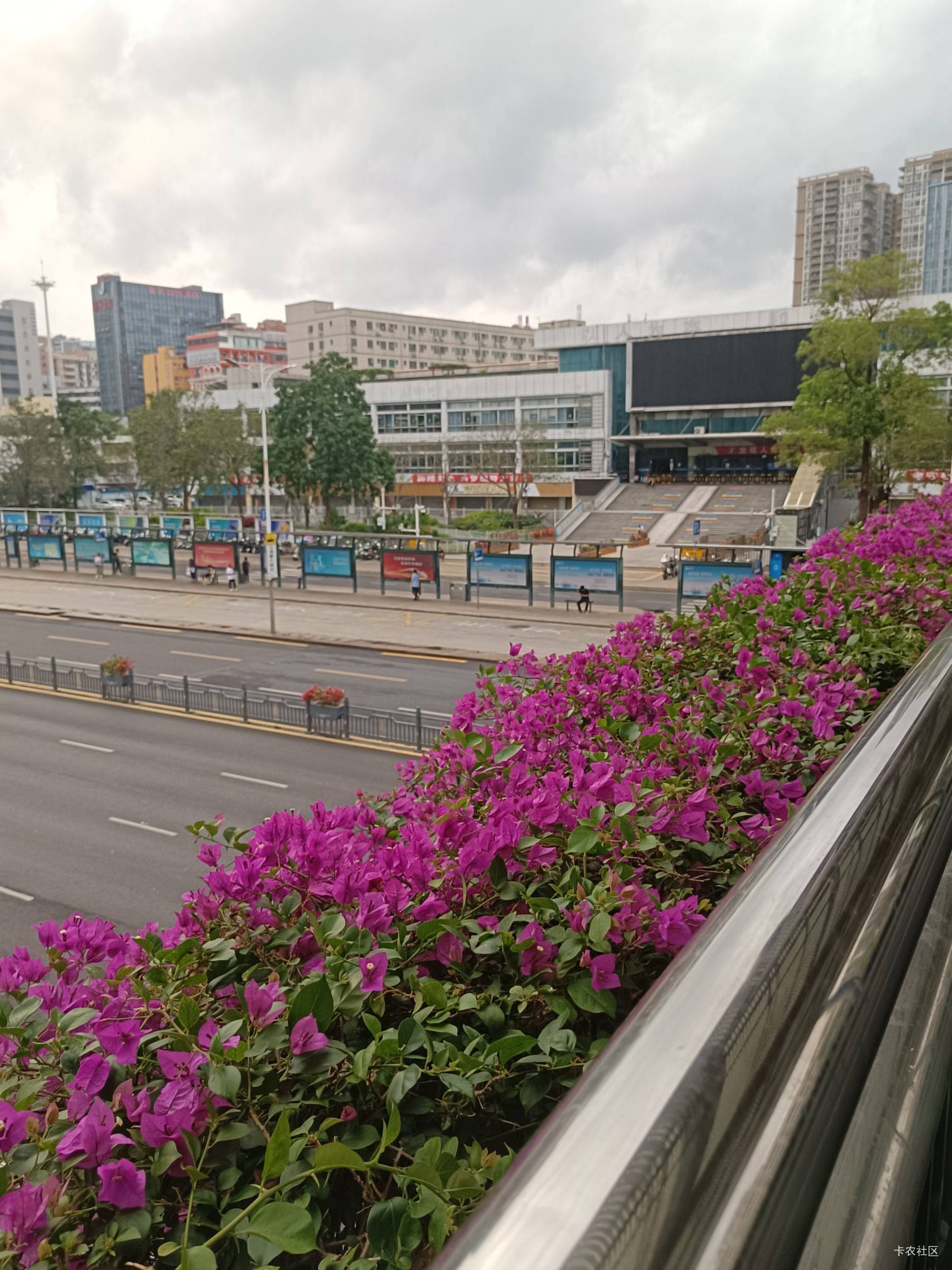 出大事了老哥们，本来今天准备进厂了，到了地方一看黑中介全倒闭了，连车站也停运了！90 / 作者:柠檬520 / 