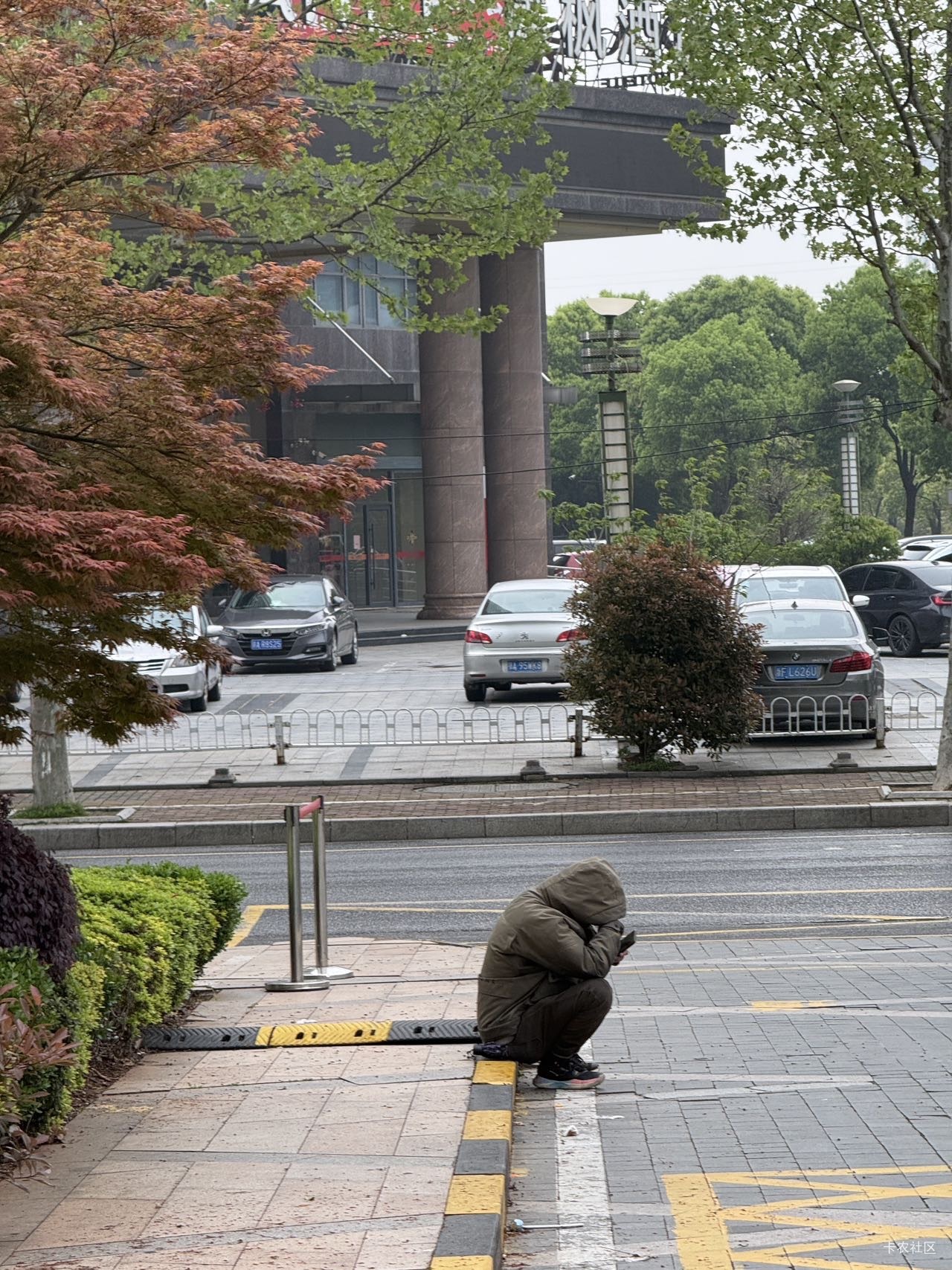 这又是哪个卡农老哥，

88 / 作者:入青云数亿万 / 