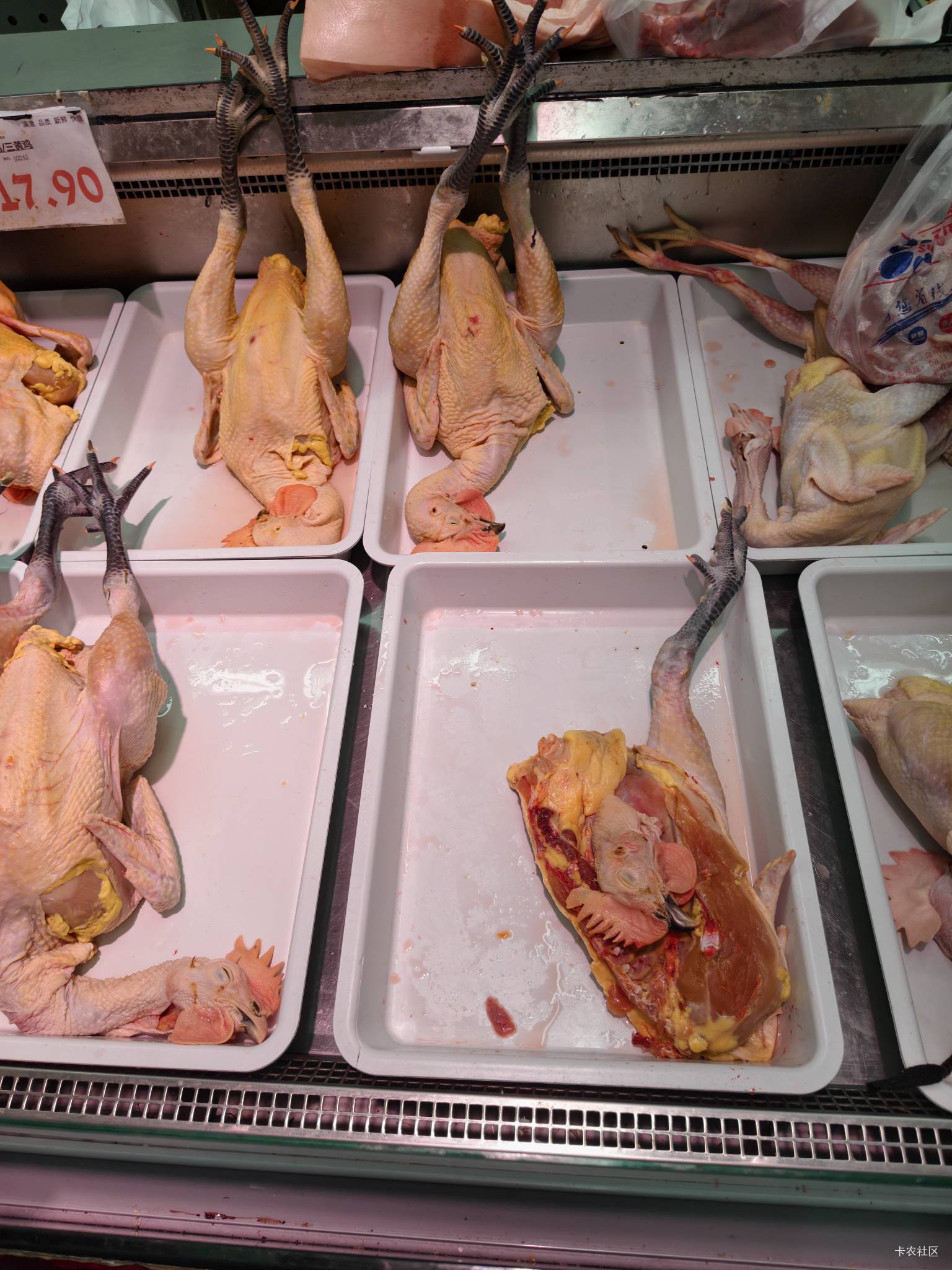 老哥们这真是三黄鸡吗，才9毛一斤，太便宜都不敢买回去吃了

79 / 作者:菲菲飞呀飞 / 