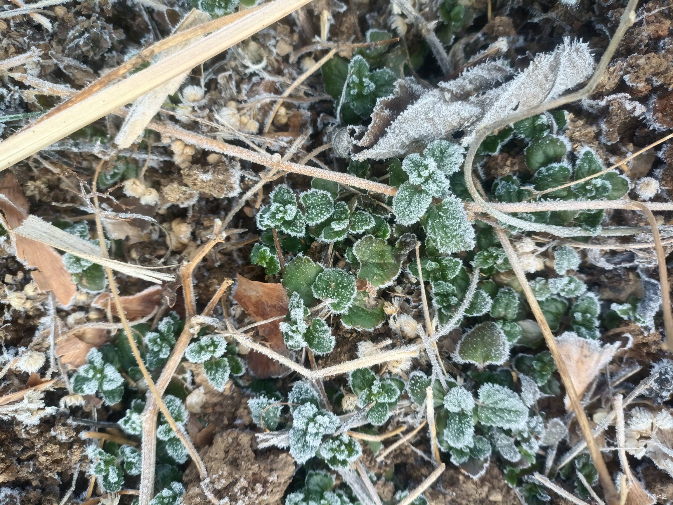 羊毛末日人人自危万物俱寂独我前行今日先赚一亿以显我英雄本色以为众老哥之表率

11 / 作者:卡农高育良 / 