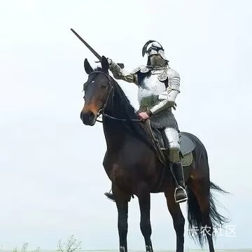 各位老哥，咸鱼和小红书怎么搜索及时花与客服

90 / 作者:&&对方正在输入&& / 