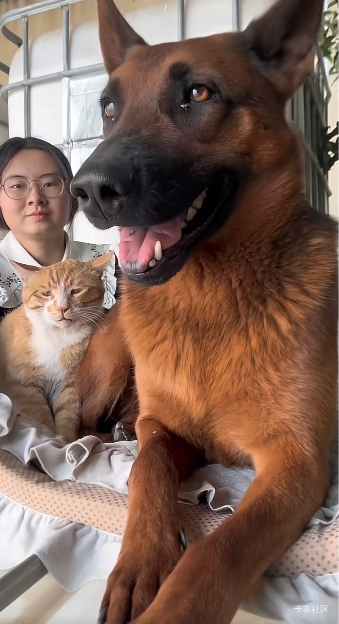 不想发毛就是这样的，一发满屏幕的人头二维码反感厌恶是真的

71 / 作者:阿生的故事 / 