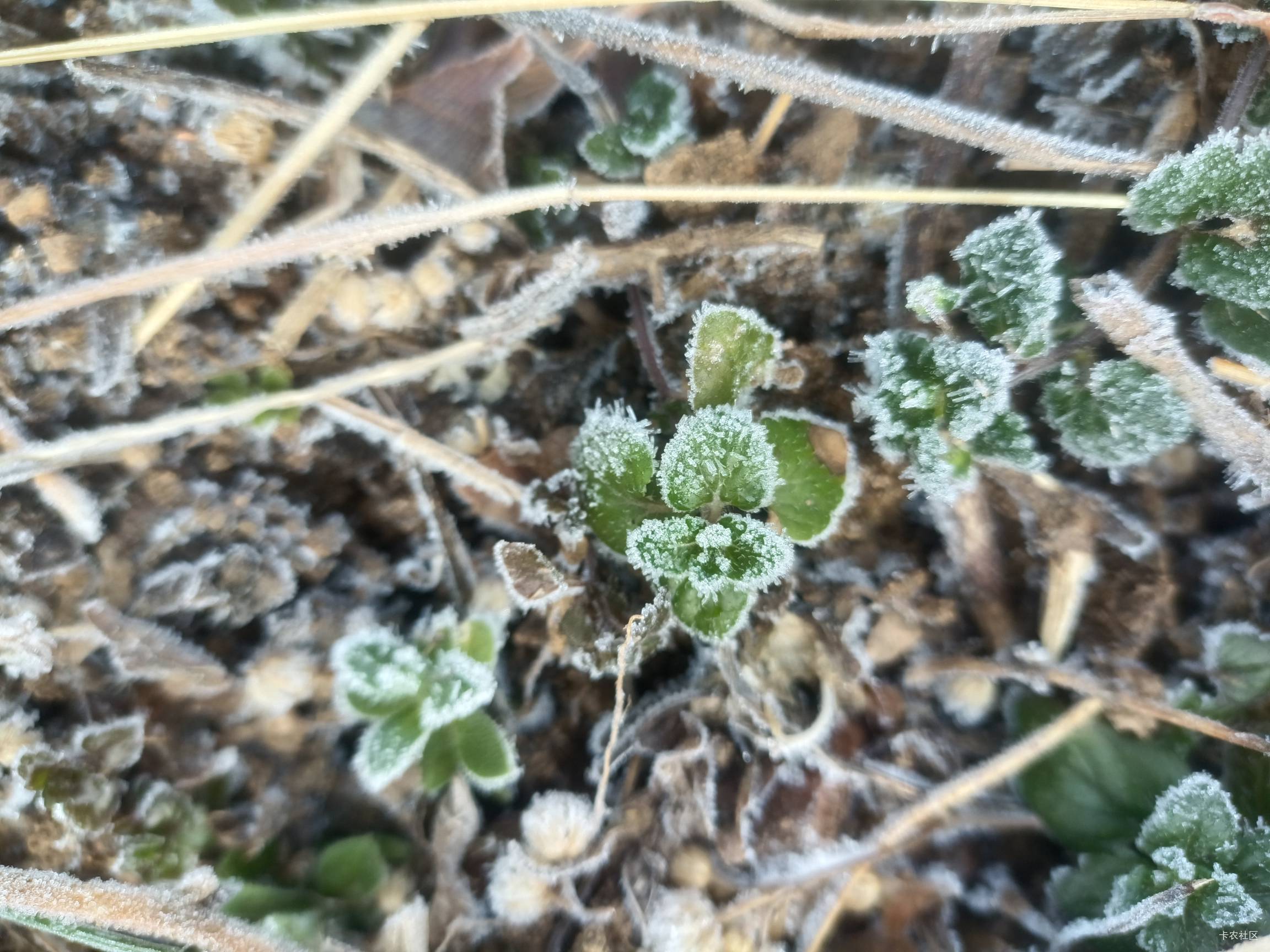 老哥们哪里招和尚一点毛没有活不下去了

82 / 作者:卡农高育良 / 