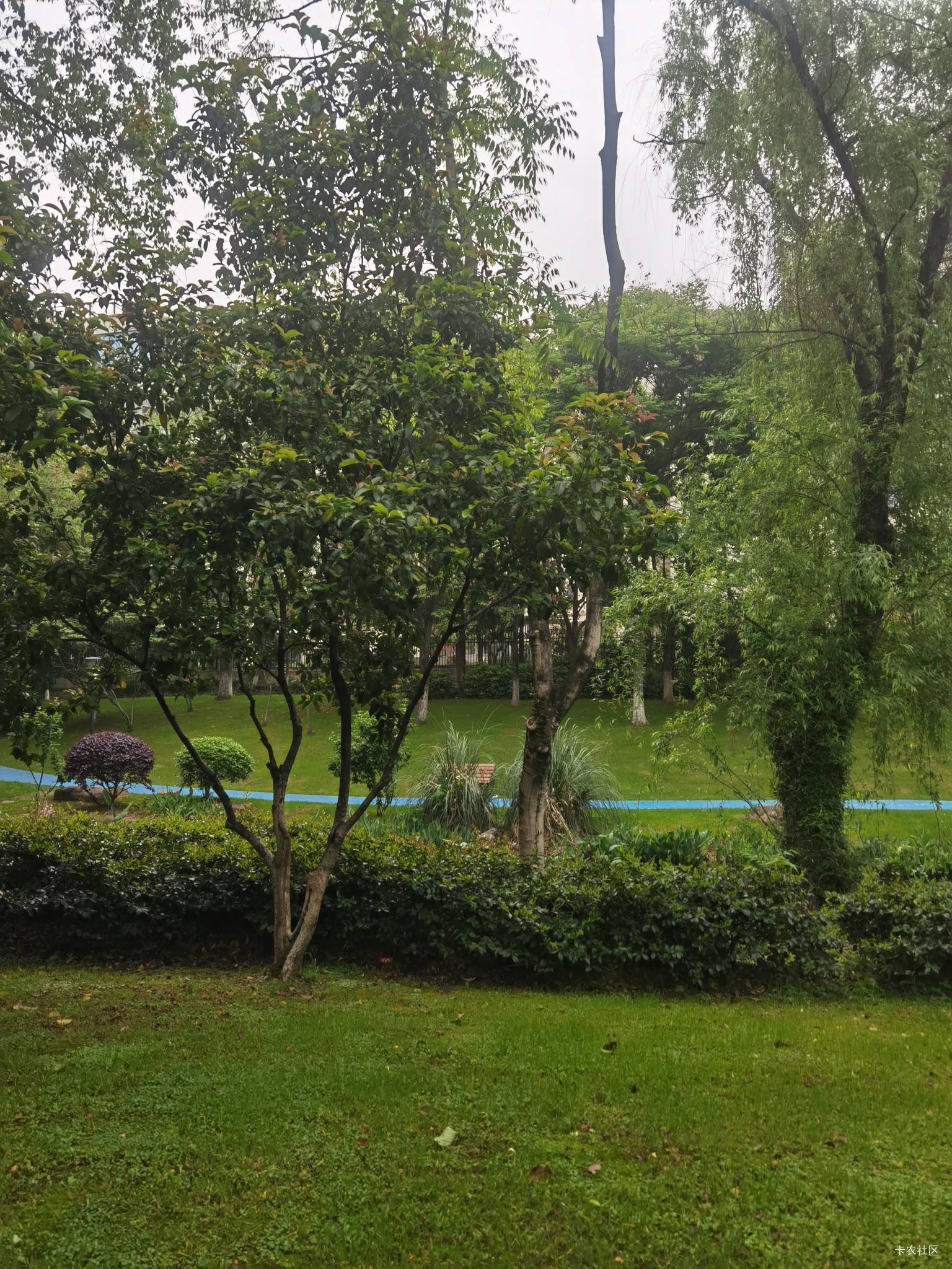 美团月付200有没收的  全程走鱼那种来

17 / 作者:烟雾开始 / 