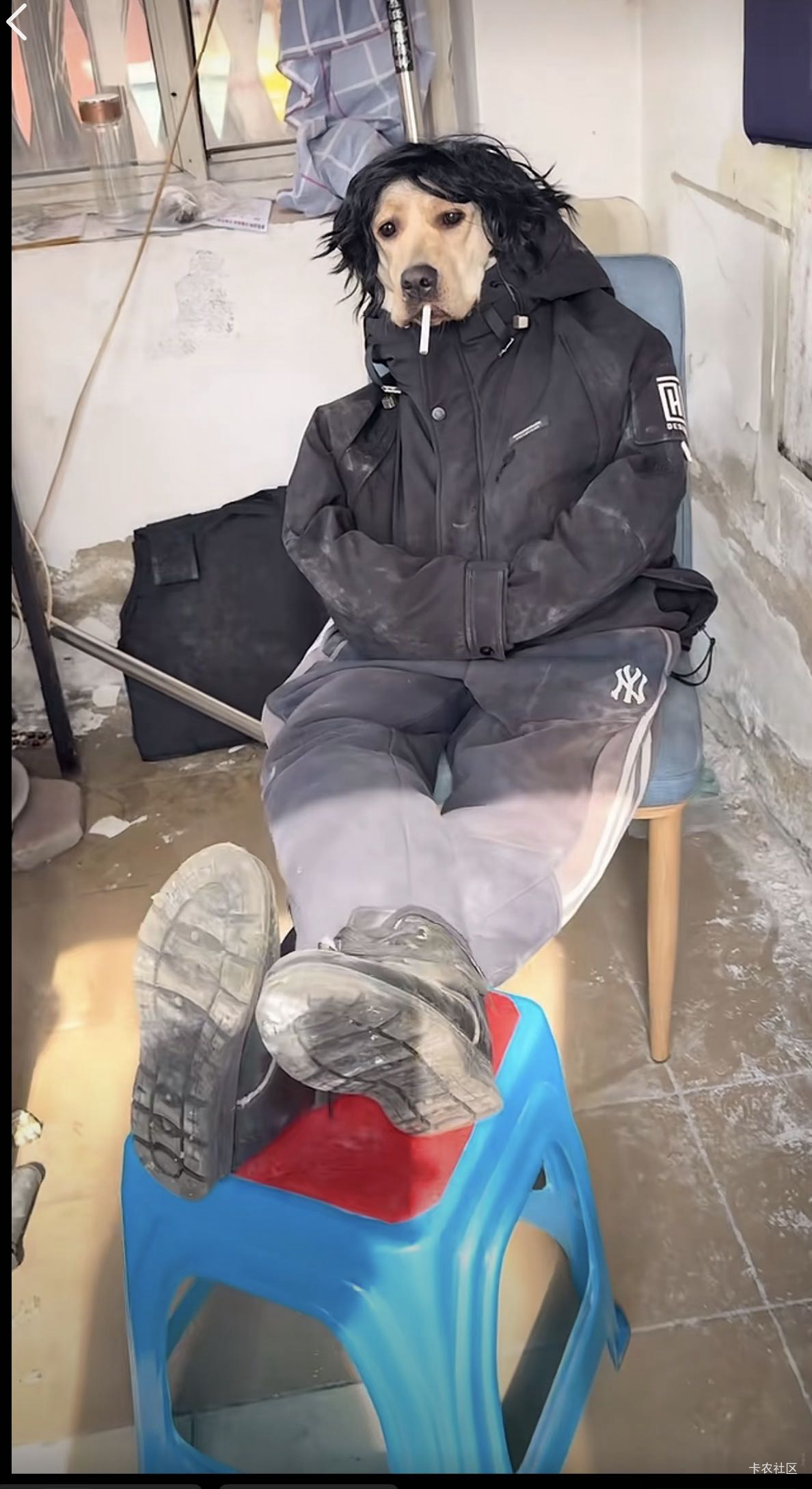 翻了一天没看到毛，老哥也不见了一堆老人，看来你们都上岸了？

54 / 作者:牛嫂子 / 