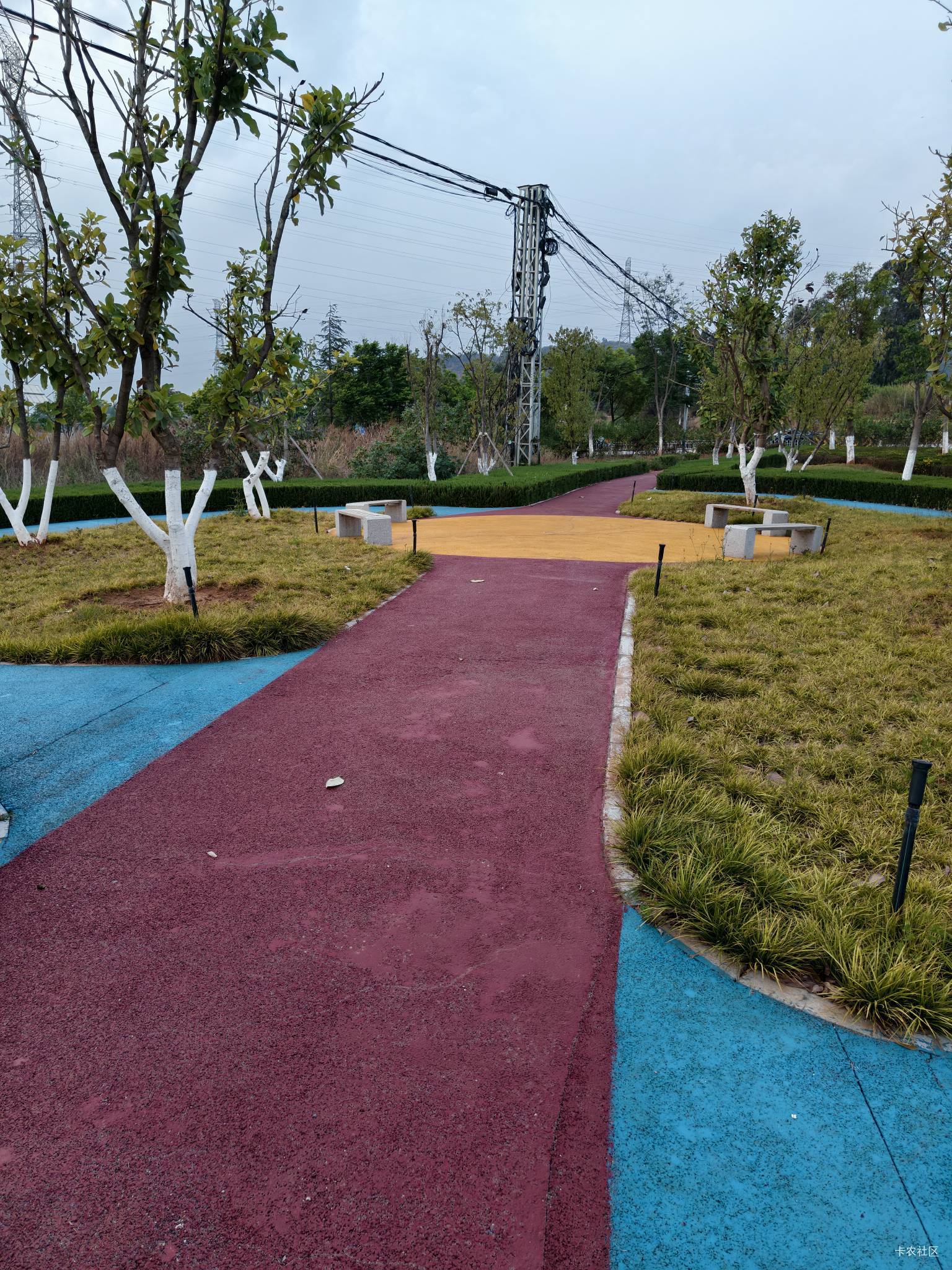 在云南这个村租房半年多，最近才发现村外面就是一个公园，这下每天早晚出来溜达一圈也27 / 作者:菲菲飞呀飞 / 