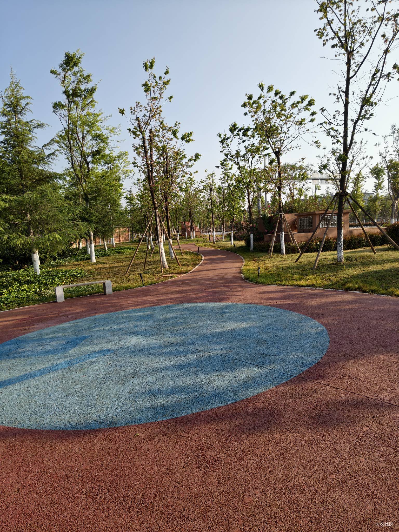 在云南这个村租房半年多，最近才发现村外面就是一个公园，这下每天早晚出来溜达一圈也89 / 作者:菲菲飞呀飞 / 