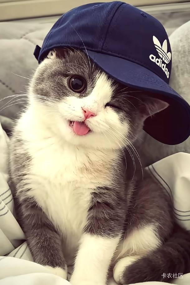 广西两个号才弄了500话费，明天准备去营业厅把小号注销了

21 / 作者:卡农进厂版 / 