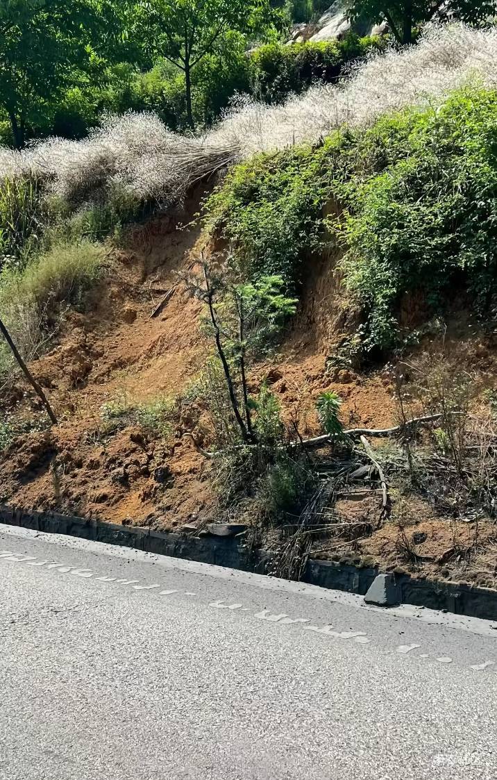 这东西要加几斤老母鸡才得行？

93 / 作者:羊肉汤 / 